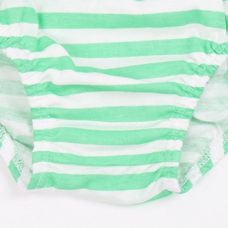 바이린남아브리프