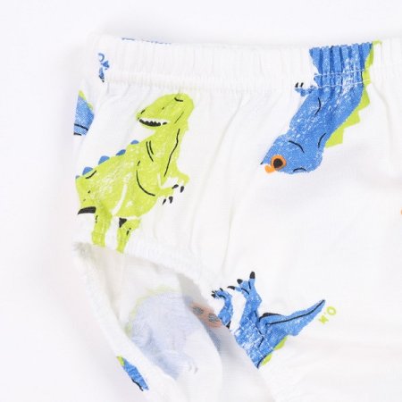 네디남아브리프