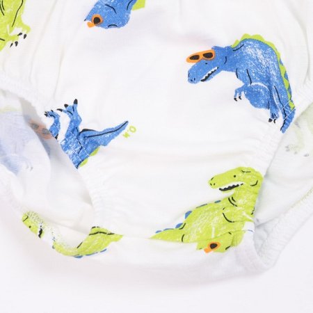 네디남아브리프