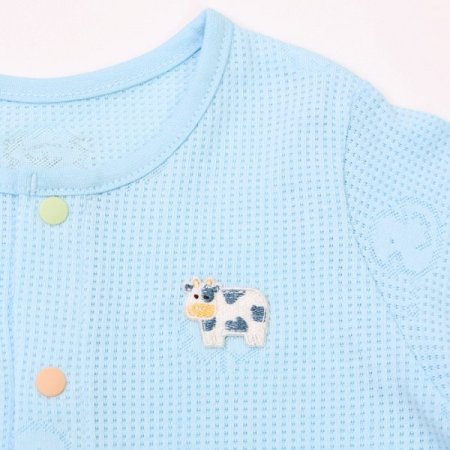 블루더기칠부내의