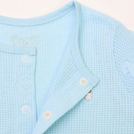 블루더기칠부내의