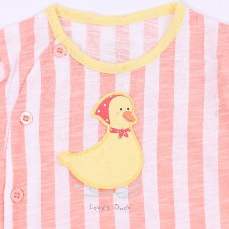 코델리아칠부내의