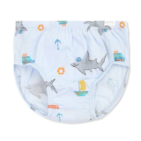 비데이남아브리프