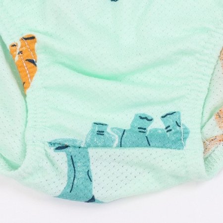 디보드남아브리프