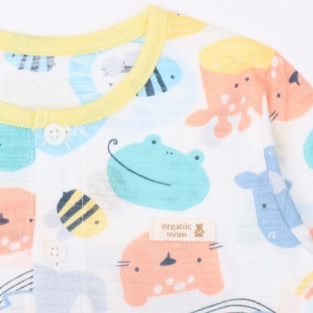 아스틴칠부내의