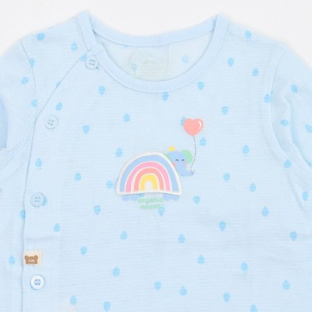 레이니칠부내의