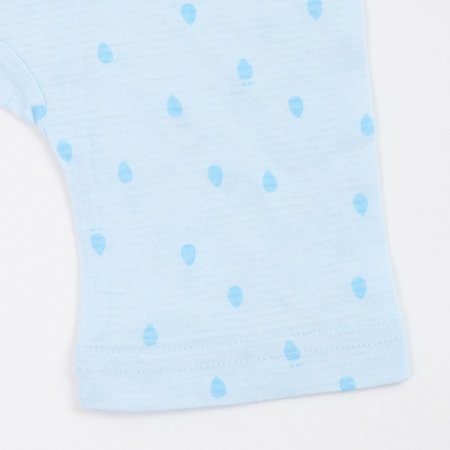 레이니칠부내의