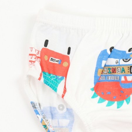 디즈남아브리프