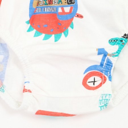 디즈남아브리프