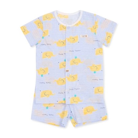 셀런트반소내의