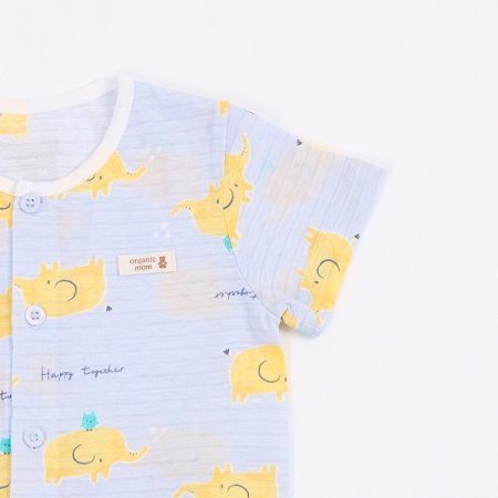 셀런트반소내의