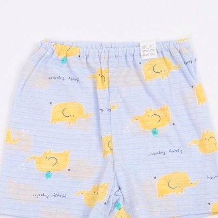 셀런트반소내의