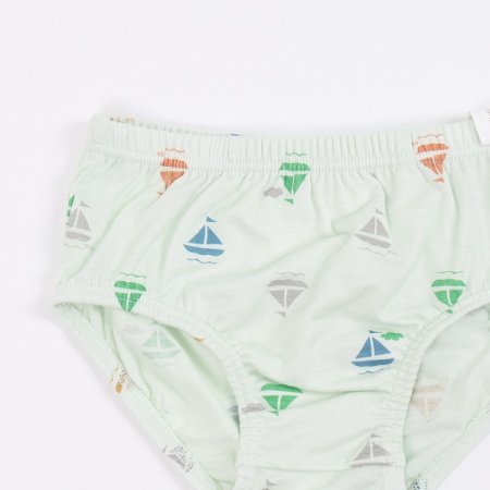 배루남아브리프