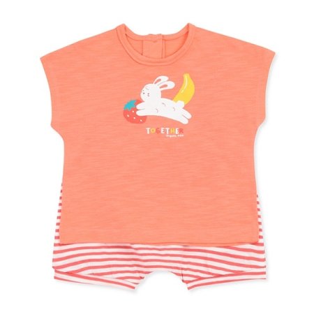 레빗스트반소이지웨어