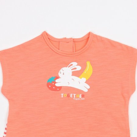 레빗스트반소이지웨어