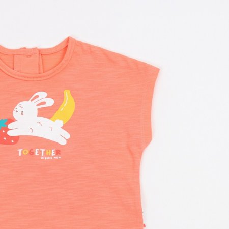 레빗스트반소이지웨어