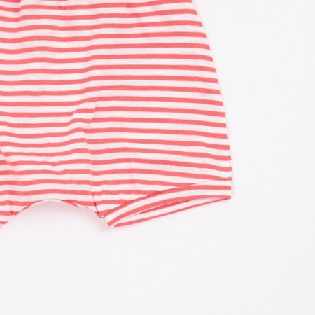 레빗스트반소이지웨어