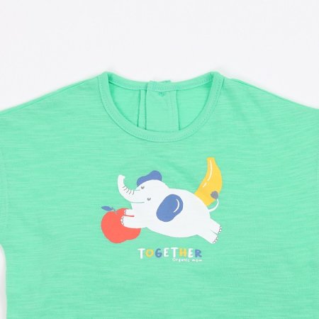 엘리스트반소이지웨어