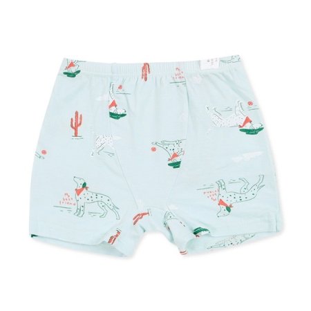 다시안민남아드로즈