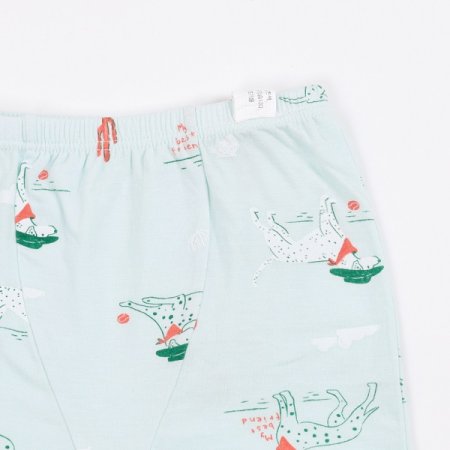 다시안민남아드로즈