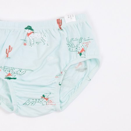 다시안민남아브리프