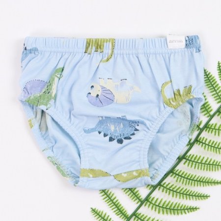 위더남아브리프