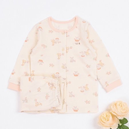 레일라긴소내의