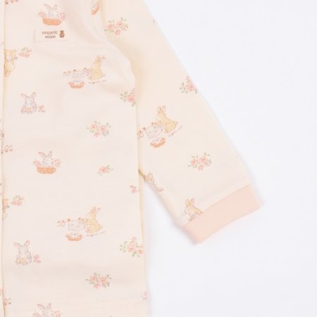 레일라긴소내의