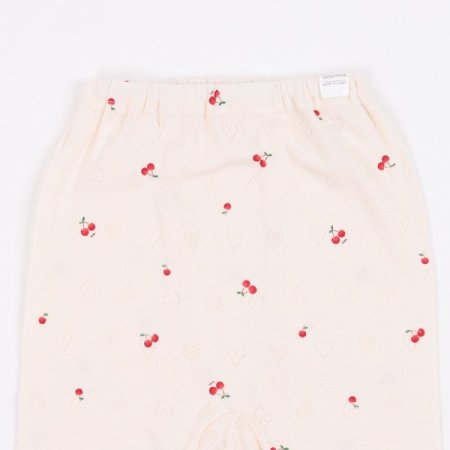 미니체리긴소내의