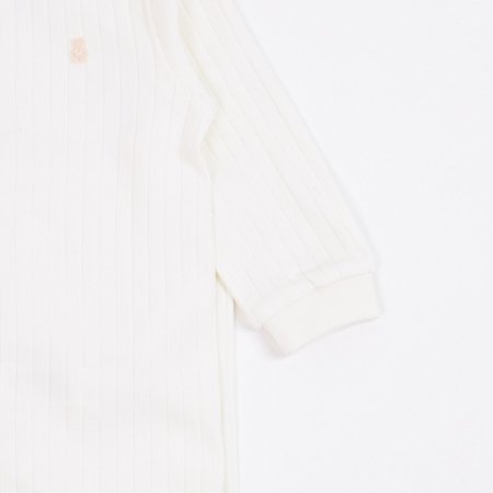 세로주디긴소내의R