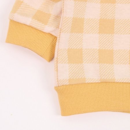 다람빅체크긴소이지웨어