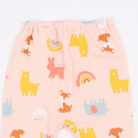 쥬쥬링긴소내의