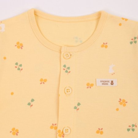 베리레빗긴소내의