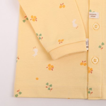 베리레빗긴소내의