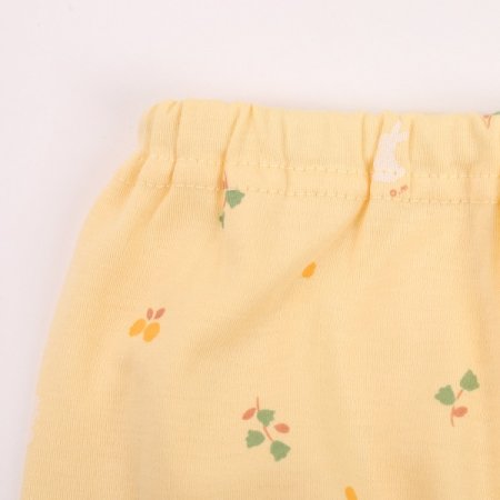 베리레빗긴소내의