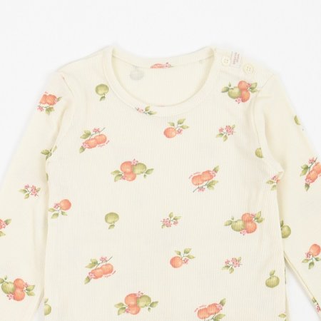 쁘리링긴소내의