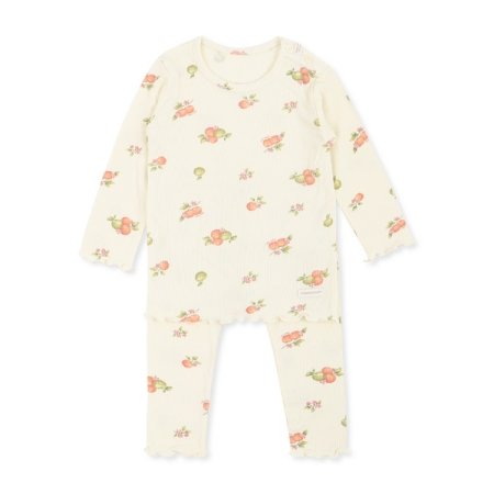 24년 가을 쁘리링긴소내의