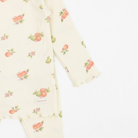 24년 가을 쁘리링긴소내의