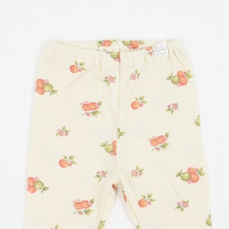 24년 가을 쁘리링긴소내의