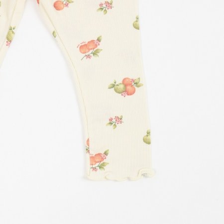 24년 가을 쁘리링긴소내의