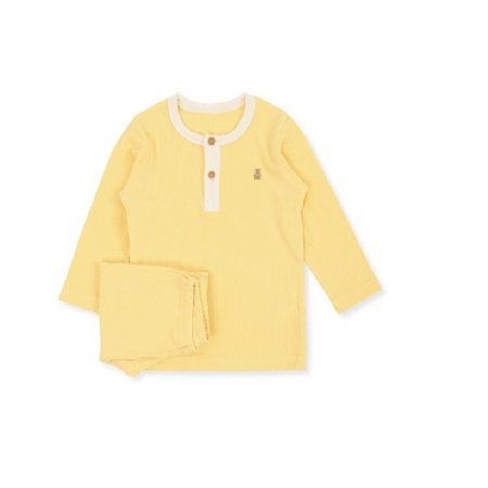 푸이코긴소내의