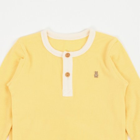 푸이코긴소내의