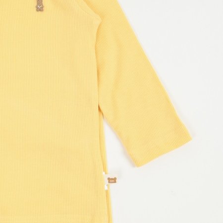 푸이코긴소내의