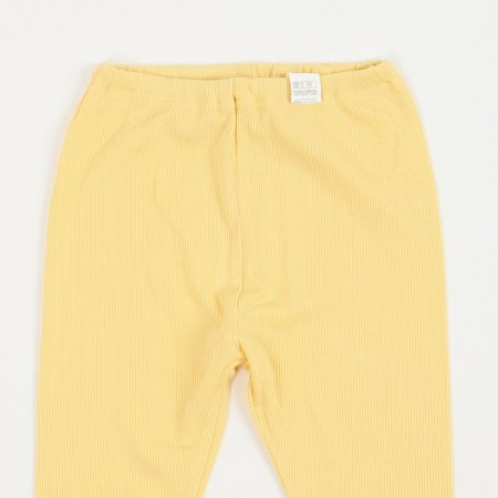 푸이코긴소내의