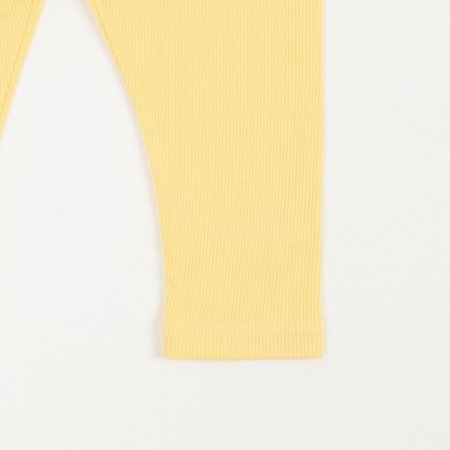 푸이코긴소내의