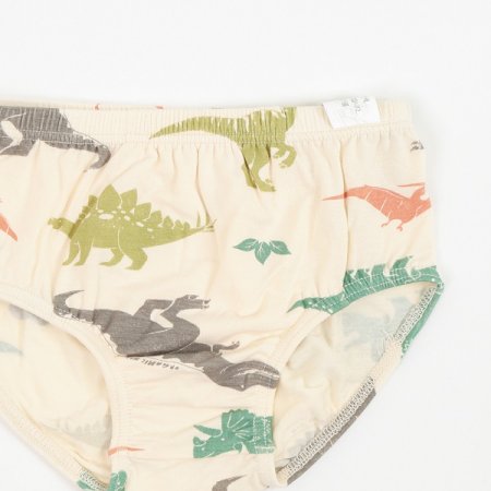 바로남아브리프