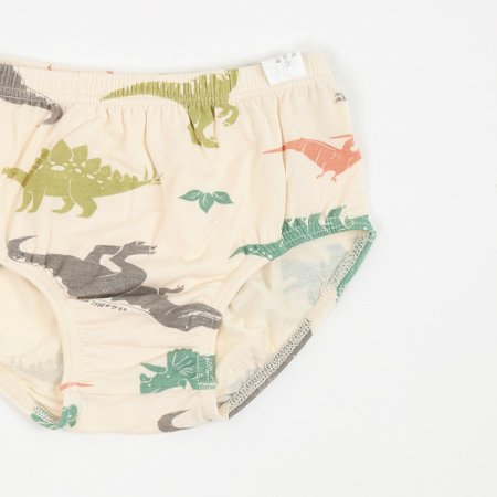 바로남아브리프