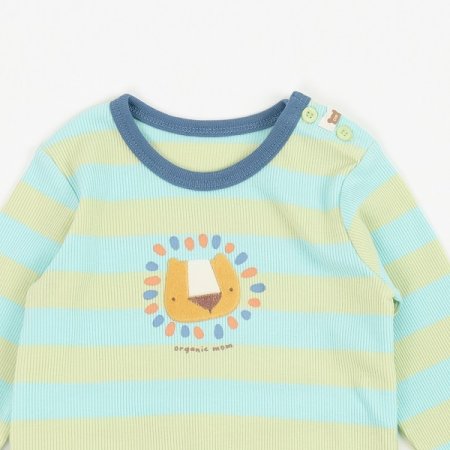 그린뽐므긴소내의