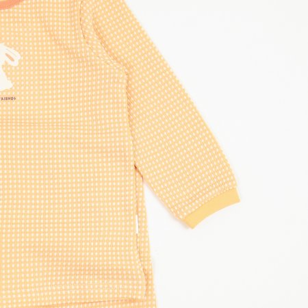 뚜띠아긴소내의