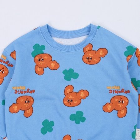 초코푸들토들긴소이지웨어